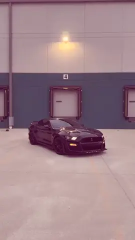 #موستنك #لايكات #لبنان🇱🇧_سوريا🇸🇾_فلسطين🇵🇸_تركيا #pov #fyp 