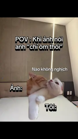 Rất lôm côm #homestaydoirong #xuhuong #meme #doirongdoson 