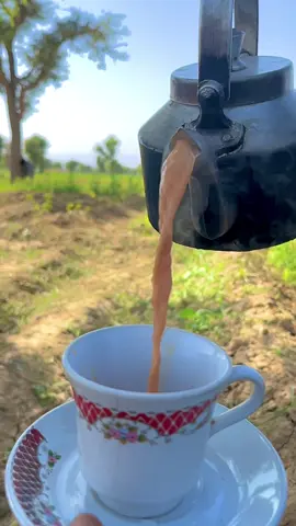 #🍜🍵🍵🍵🍜🍜 #سگنت۔ویڈیو۔۔ویرل۔کرسیو۔آپ۔ہیں 