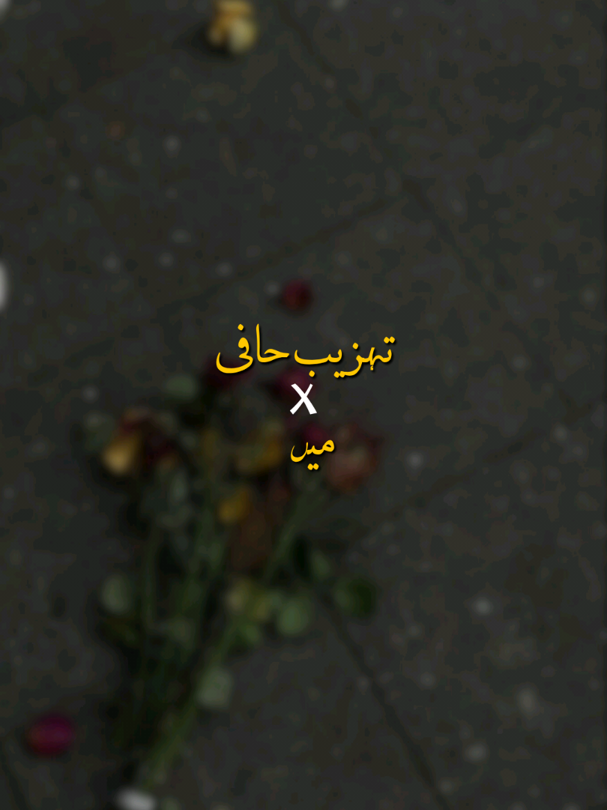 Hafi Splitting Fact🕊️❤️‍🔥 . . #poetry#urdu#shayari#asthetic #tehzeebhafi 