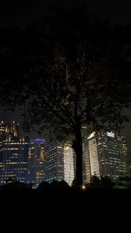 #citylightjakarta #jakartacitylight #citylight 