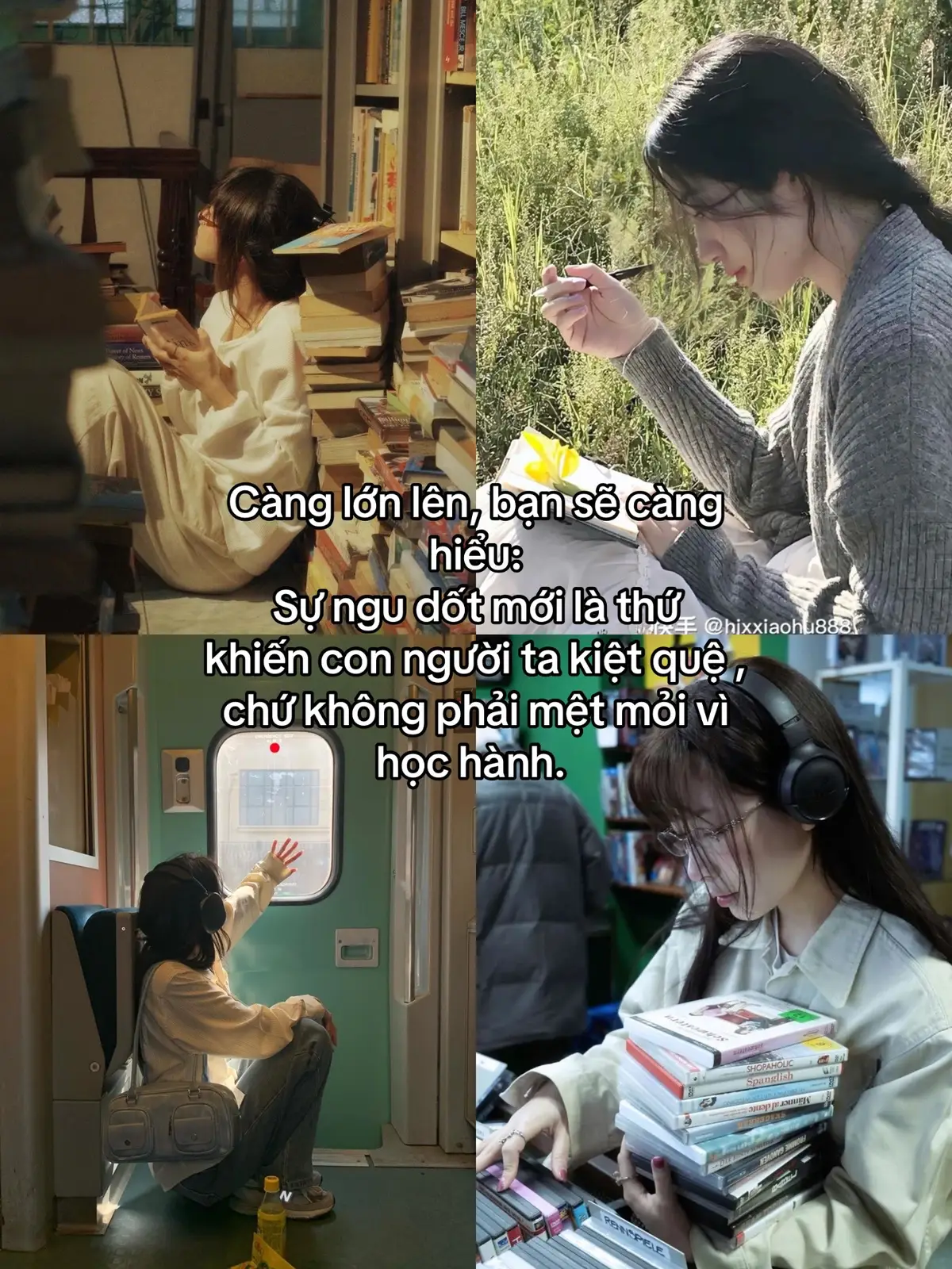 #xh #viral #xuhuong #motivation #studywithme 