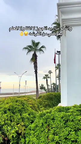 #لايك #اكسبلور #اعادة_النشر🔃 @عريبان 🤎🗞️ 