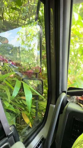 Vùng cao chưa bh là dễ cả 🥹🥹🥹#@Tọt @XUÂN VĂN 8386 @⚜️Xuân Trường✅ 