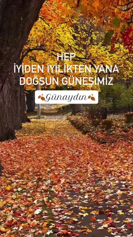 #günaydın_hayırlı_sabahlar #güzelsözler #çaysözleri #şiirsözleri #kesfetteyiz 