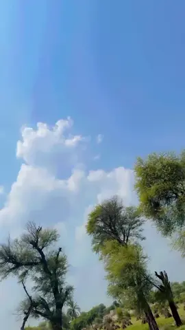 VeerZ🫀❤️#foryoupage #pleaseviral #trending @چوھدری رومان جنجوعہ @👑WarraicH🔥صاحب 🦅 @Mp junjua🌍💫 @چوہدری زین وڑائچ53 آلہ 🥂✌️🍾 @💀چوھدری فہد  وینس☠️💀 @yousaf @Hassan Rajpoot @Usمan..🎱 @@saلman53💥 @sikandarking153 @USMAN wâheED 