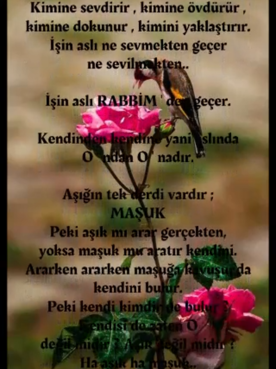 ŞEMS-İ TEBRİZİ 🥀 AŞK VUR  🏷️ Etiketler  #HAZRETİPİR #aşkınpiri #kalbedokun #kalplereşifa #tasavvuf                    