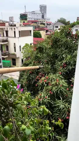 #tiktokfyp #tiktokviral #trendingtiktok #trending #semuaorang