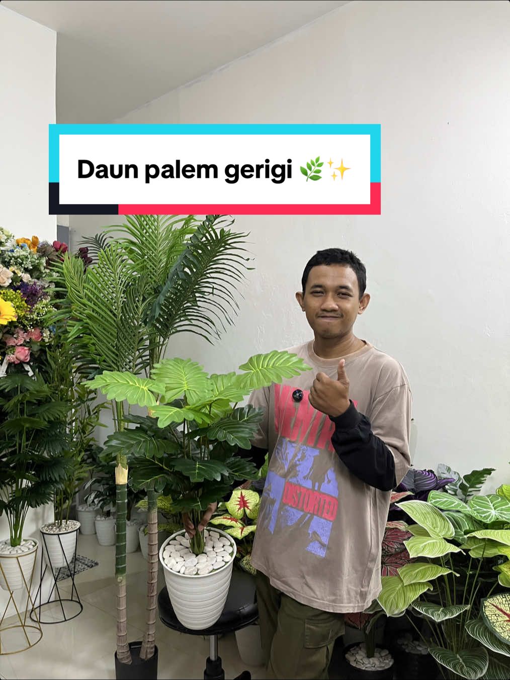 “Si kecil tapi estetik 🌿✨ Daunnya unik bangat,palem gerigi bikin ruangan makin hidup!🪴💚” #palem #tanamanhias #dekorasirumah #fypage #fyppppppppppppppppppppppp 