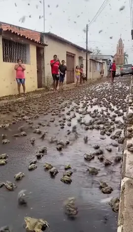 #VoiceEffects #frogs #fppppppppppppppppppp #foyoupage 