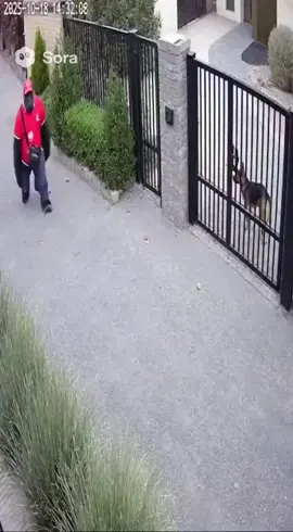 #fypppppppppppppppppppppp #ai #sora #gorilla #yeti 