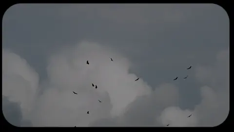 ليه بحبها ماهي ماضي عدي وانتهي وان سبنها تمشي بترجع وحدها#امير_عيد #اكسبلور #مشاهدات #لايكات #fyp 