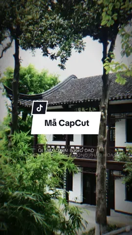 Ơi em cô gái bông đào em kết rượu hồng pháo hoa...#capcut #capcutpioneer #pioneertemplate 