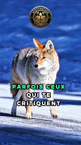 Parfois, ceux qui te critiquent… ne te détestent pas.#videos #conseil #motivation 