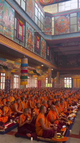 #creatorsearchinsights2025 #namdrolingmonastery #goviral #fyp #foryoupage @Chooyang lhamo💜 @🅰️Lik_ꔪ @ghale monk7 