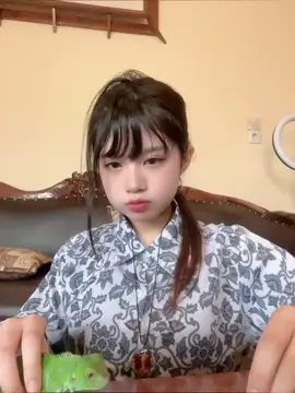 Kadal hijau 😱😹🔥