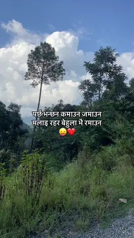 पर्छ भन्छन कमाउन जमाउन मलाइ रहर बेहुला भै रमाउन 😛❤️ #fyp #foryoupage #zorex #fyppppppppppppppppppppppp 