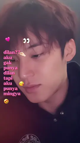 😍🫶🏻  #mingyu #mingyuseventeen #4u #fyppppppppppppppppppppppp #kimmingyu 