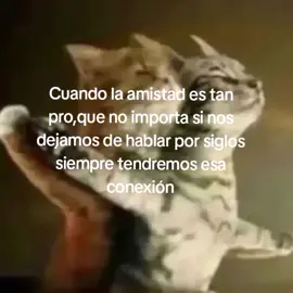 #siempre#viraltiktok#paratiiiiiii#texto#amistad