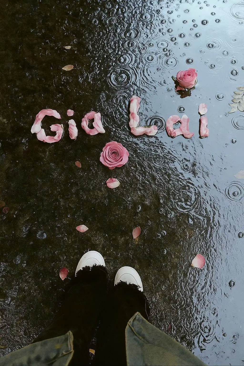 Sắp tràn về! #blyya #gialai