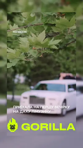 #стопосто #100x100 #горила100 #сотканагорилу