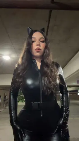 🐱