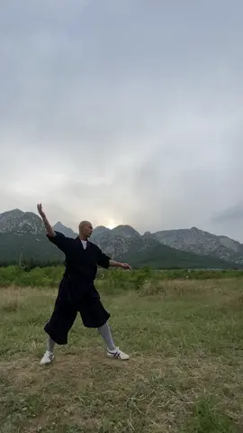 中国功夫十八般武艺每天更新 #martialarts #JackieChan #Chinese Kung Fu#kungfu