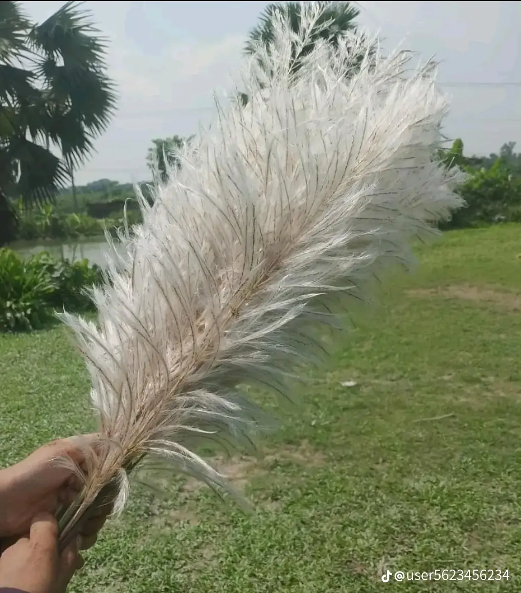 তুমি ছুঁয়ে দিও তাকে প্রতি টা মুহূর্তে ভালোবাসি যাকে#আইডিতে_view_like_আসে_না😪😪😪 #টিকটক_বাংলাদেশ_অফিসিয়াল🇧🇩🇧🇩🇧🇩 #টিকটক_বাংলাদেশ_অফিসিয়াল🇧🇩🇧🇩🇧🇩 #সাপোট_করবেন_ইনশাআল্লাহ_সাপোর্ট_পাবে #অসাধারণ_একটি_ভিডিও #ফরইউতে_দেখতে_চাই_প্লিজ🙏ভিডিওটা #আল্লাহ_মাফ_করে_দাও_আমাকেতোমার 