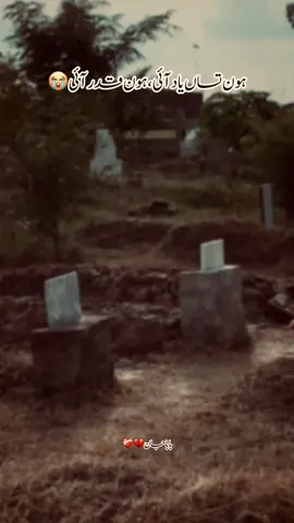 #foryoupage #fyp #foryou 