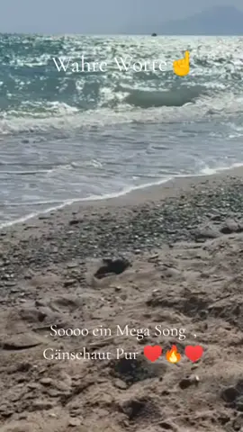 In meinem Leben   #wahreworte #gänsehautpur #megasong #fouryourpage 
