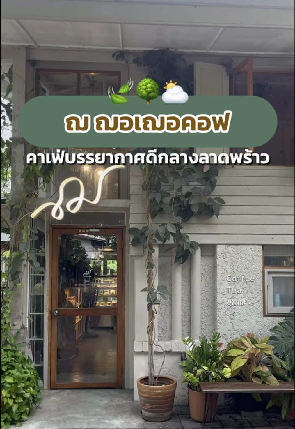 คาเฟ่ลับกลางลาดพร้าวที่สายชิลต้องเลิฟ 🍃 “ฌ ฌอเฌอคอฟ” คาเฟ่โทนอบอุ่น บรรยากาศโฮมมี่สุดๆ รายล้อมด้วยต้นไม้เขียวๆ ฟีลเหมือนหลบไปพักใจในป่ากลางเมือง ☕🌿 มีทั้งเมนูกาแฟ ขนมให้เลือกเพียบ นั่งทำงาน อ่านหนังสือ หรือมาชิลล์กับเพื่อนได้หมดเลย 💚 📍ลาดพร้าว 16 🕘 เปิดทุกวัน 09.00 - 19.30 น. #Proxumer #คาเฟ่ลาดพร้าว #ฌฌอเฌอคอฟ