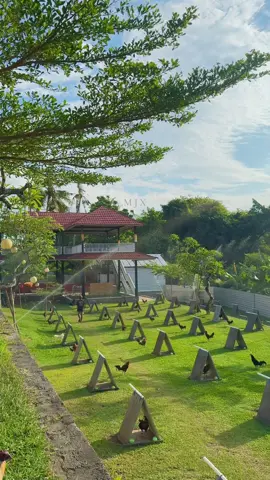 Om swastiatu selamat sore semuanya 🥰🤩