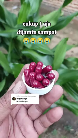 Membalas @nizar_devara madu bubuk original#madububuk 