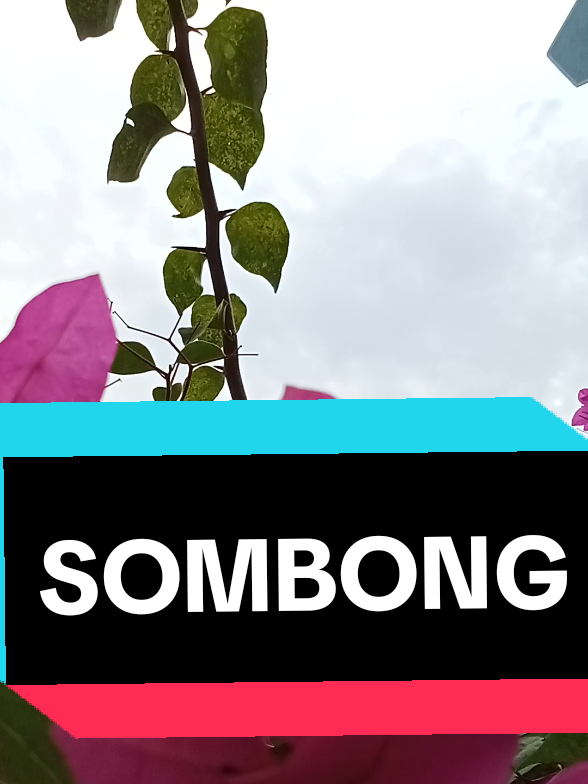Kata Bijak, Jangan Sombong #katabijak #katakatamotivasi #nasihatkehidupan #nasihat 