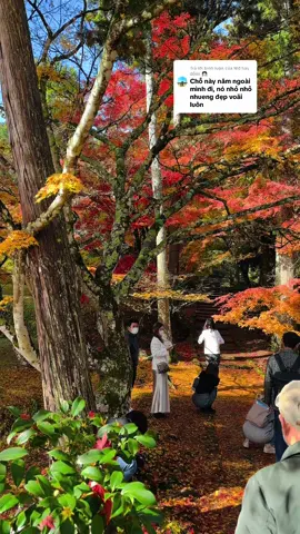 Trả lời @Mỡ hay dỗiiii 👧🏻 #Ryuonji #kyoto loanh quanh thì cũng hết 7 năm rồi đấy mà vẫn nghèo quá 😢😢