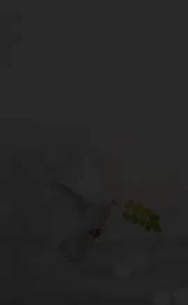 •غريب الدار•😴