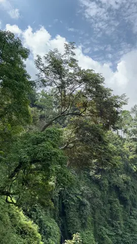 18 oktober 2025 #tumpaksewu #visitlumajang #visitpronojiwo 