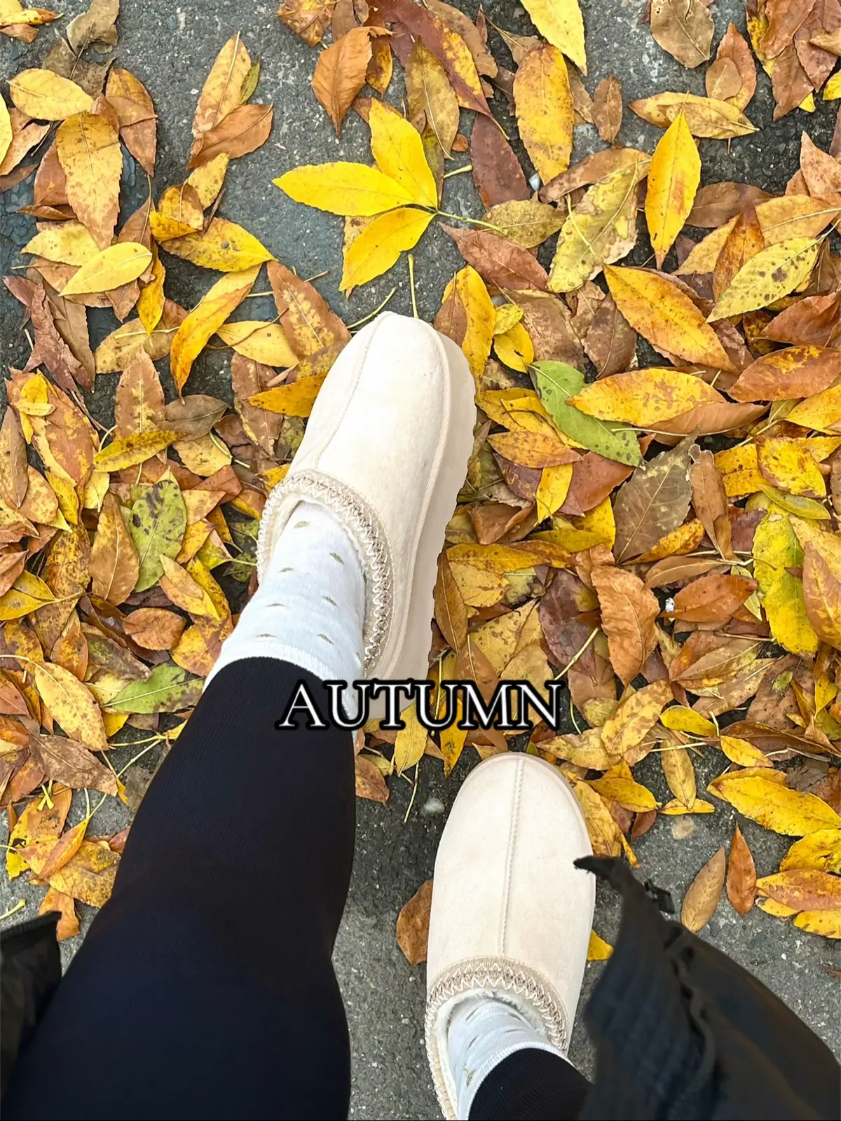 Patru anotimpuri, o singură poveste. 🌸☀️🍁❄️ Fiecare moment are frumusețea lui, trebuie doar să știi să-l trăiești. #fyp 