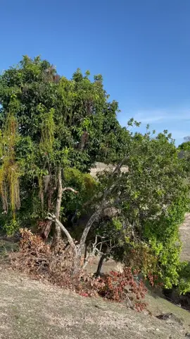 Ketika sudah memutuskan untuk mencintai seseorang… #fyp😍😍😘😘#xyzbca#fyptiktokviralシ🔥💯#fyptiktokviralシ😍😍😘😘#yentjia😍😍😘😘 