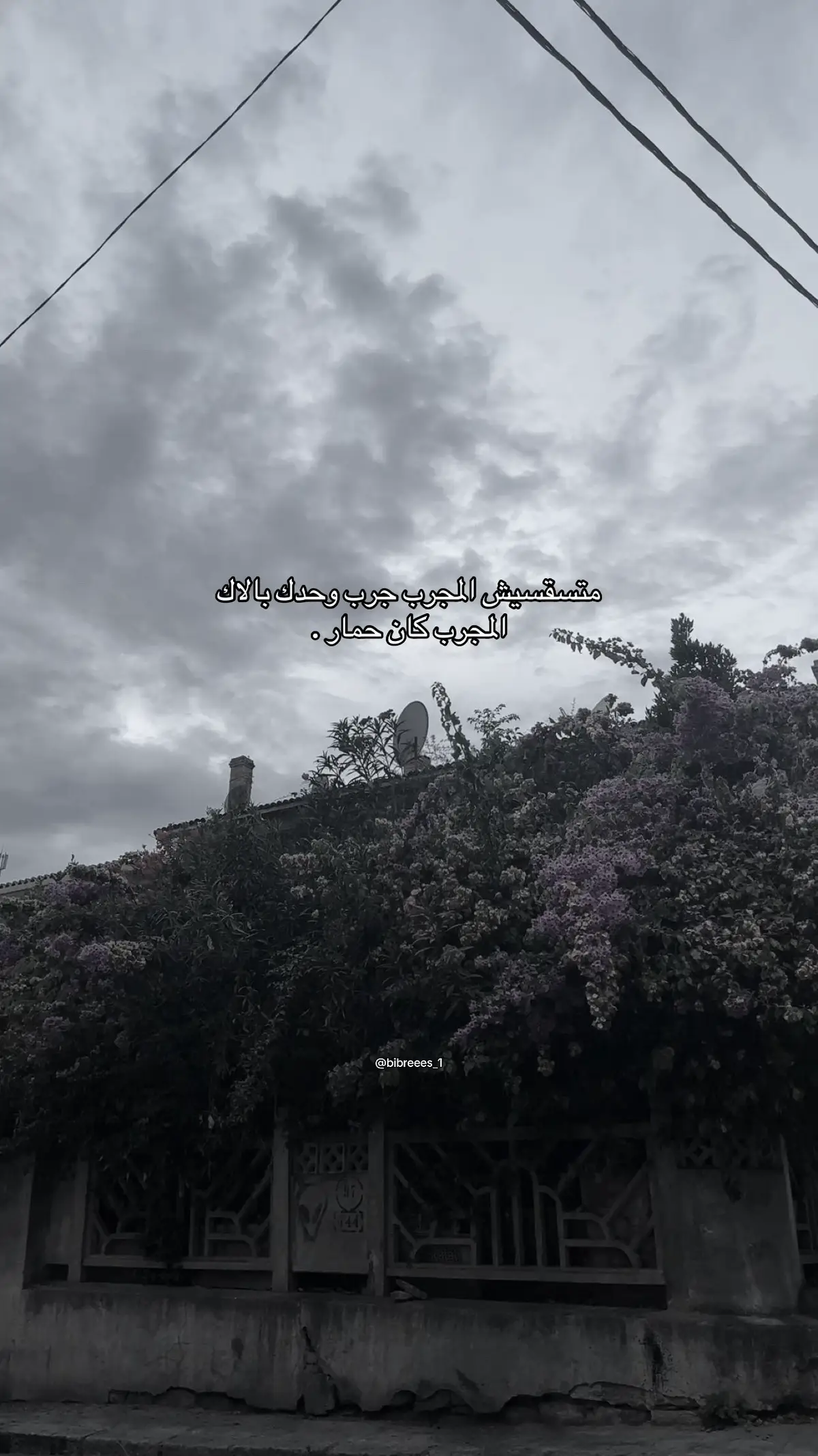 💤… #foryou #motivation #اقتباسات #fyp #bibreees_1 