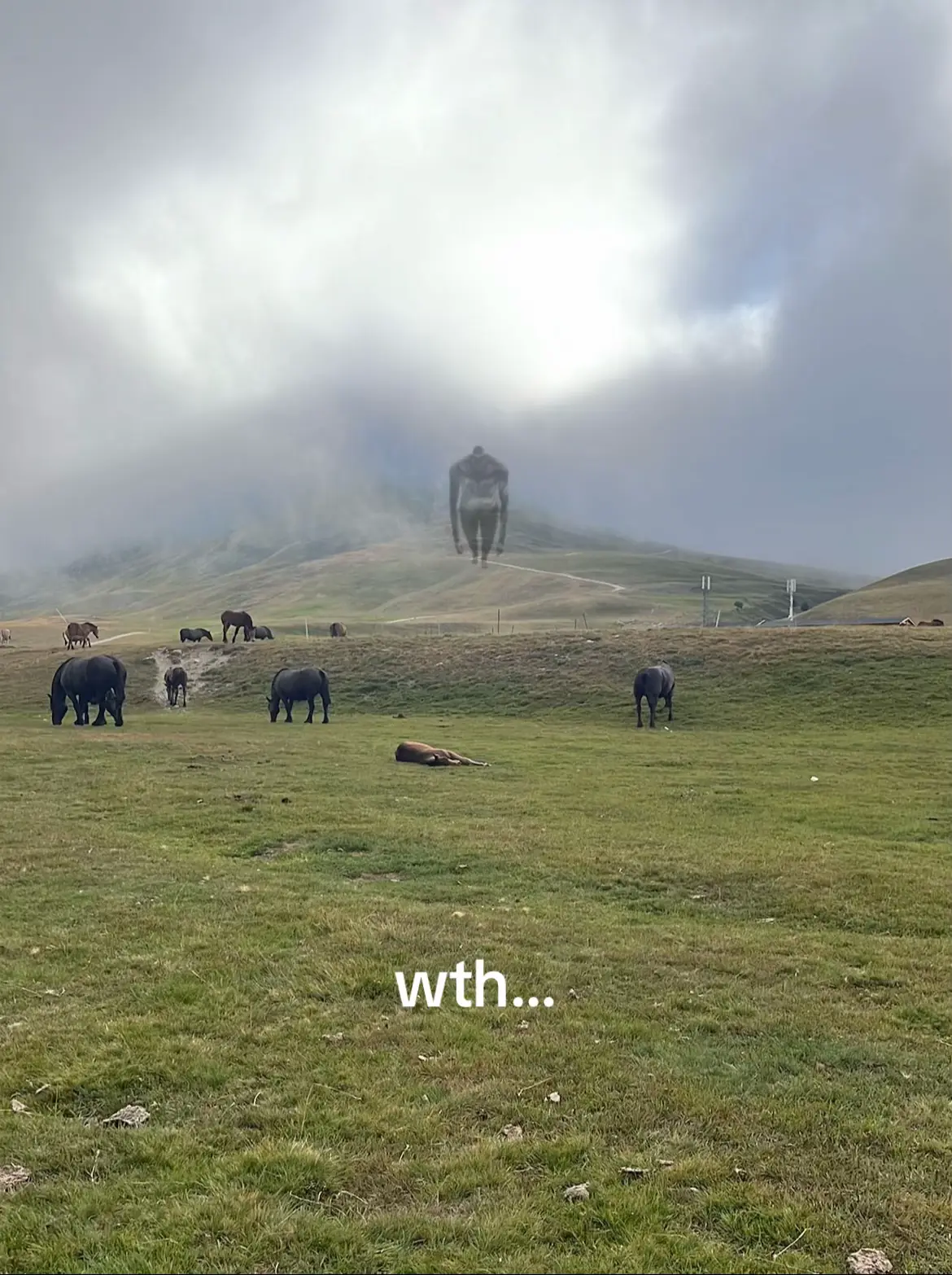 monkey?? #fyp #AttackOnTitan #fyyyyyyyyyyyyyyyy #viral #anime 