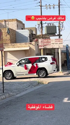 #الشعب_الصيني_ماله_حل😂😂 #❤️ #الف #مبروك #الزواج 