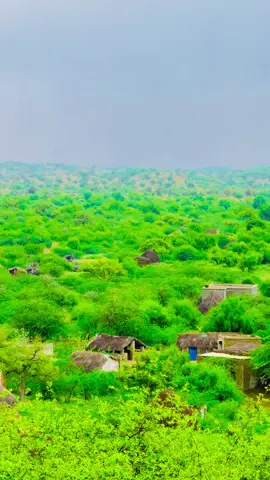 Haye Fozia👀🫶🏻#trandingvideo #fyppppppppppppppppppppppp #trandingvideo #foryou❤️ #trandingvideo 