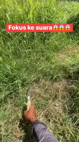 asli baja super tajam.  #sobatngaretnusantara🔥🔥🔥 #sobatngaretnusantara #sobatngaret #sabit #arit 