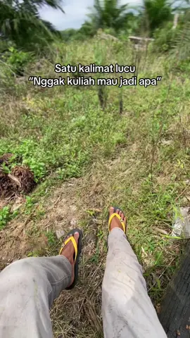 Maaf kami tidak kuliah🤪  #viral #fyp #music #trending #sounds #sawitontiktok #lewatberanda #soundviral #sawitriau #foryou 