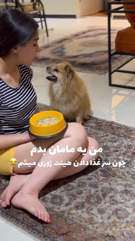 🥰🥰🥰🥰 #iran  #dance  #fyp   #ایران  #girl 