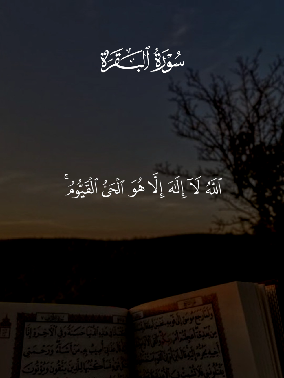 #قران #ماهرالمعيقلي #quran #اية_الكرسي 