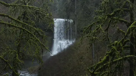 إن مع العسر يسرا