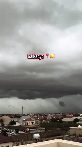 Jawi roob#galkacyo🇸🇱 #punander🇸🇱🇸🇱🇸🇱 #viralvideos 