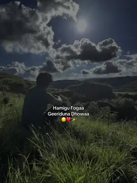#peligrosa Really wlhi❤️😔#fyppppppppppppppppppppppp #viewsproblem #views #viral 